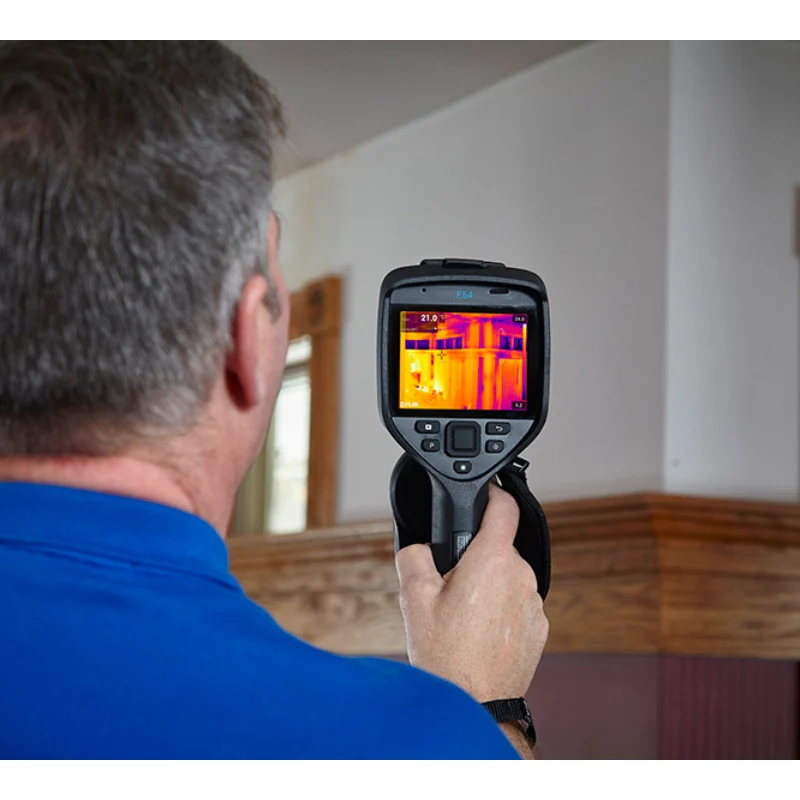 FLIR E54 used on a pest inspection